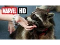 GUARDIANS OF THE GALAXY - Oreo
