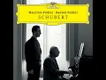 Schubert: Piano Sonata No. 18 in G Major, D. 894: I. Molto moderato e cantabile