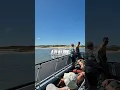 Download Lagu Ferry  Breskens  Vlissingen in the province of Zeeland