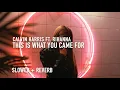 Download Lagu this is what you came for (slowed + reverb) - calvin harris ft. rihanna