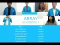 PENJELASAN ARRAY DAN CONTOH PROGRAM PENGHITUNG NILAI STRUKTUR DATA UBSI SEMESTER 2 PRESENTASI