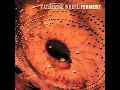 Flower To Hide - Catherine Wheel