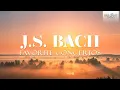 Lagu J.S. Bach: Favorite Concertos