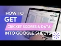 How To Get Cricket Scores Data in Google Sheets Using a Free API