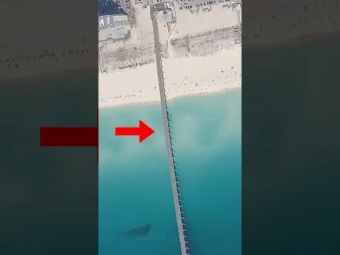 I fished Florida’s BEST Fishing Pier 🎣 #fishing #fish