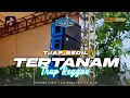 Download Lagu DJ TRAP REGGAE TERTANAM - TONY Q RASTAFARA - CEK SOUND FULL BASS MBEDIL - KRC MUSIC