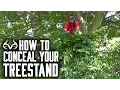 How To Conceal Treestands