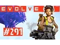Evolve Sunny Supporting and Surviving