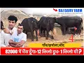 Lagu 82000 में भैंस दूँगा-12 किलो दूध- 1 किलो घी || RAJ JHAMOLA JIND HARIYANA ||