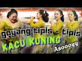 Lagu GOYANG HEBOH, TIPIS-TIPIS,