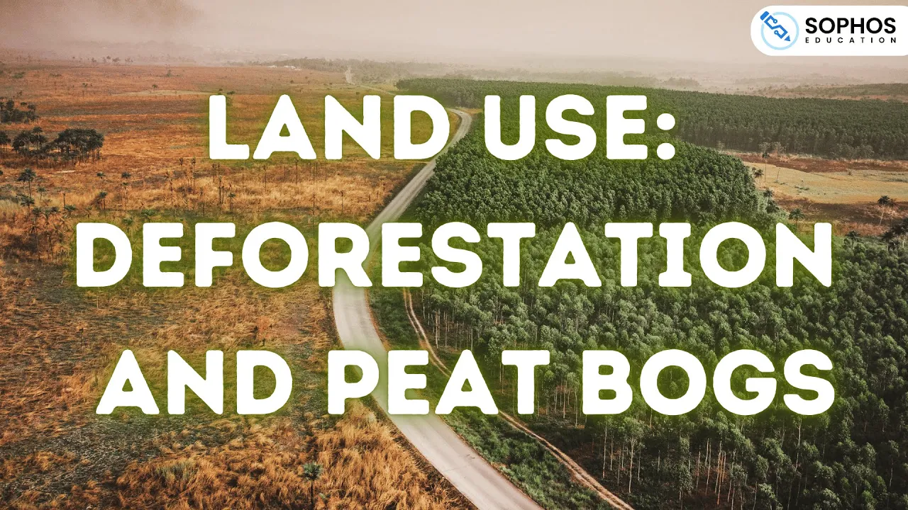 Land Deforestation and Peat Bogs