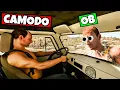Download Lagu Helping Camodo Build a New Car Was a DISASTER | Drive Beyond Horizons
