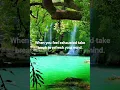 Download Lagu When you feel exhausted #motivation #viral #shorts #shortvideos #youtubeshorts #quotes
