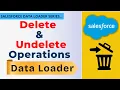 Salesforce Data Loader Delete Undelete Operations Step-by-Step with Real Scenarios