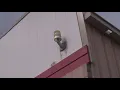 Nonstop alarm at Family Dollar in Dallas causing frustration for residents shoppers