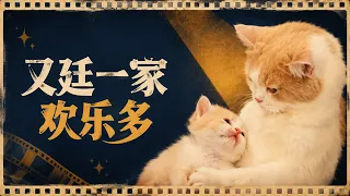 【一只又廷】又廷一家欢乐多