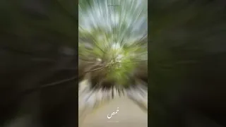 فيديو عن حمص تدريجة بشوارع حمص 