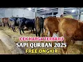 Download Lagu HARGA SAPI QURBAN 2025 FREE ONGKIR | SAPI QURBAN EKONOMIS
