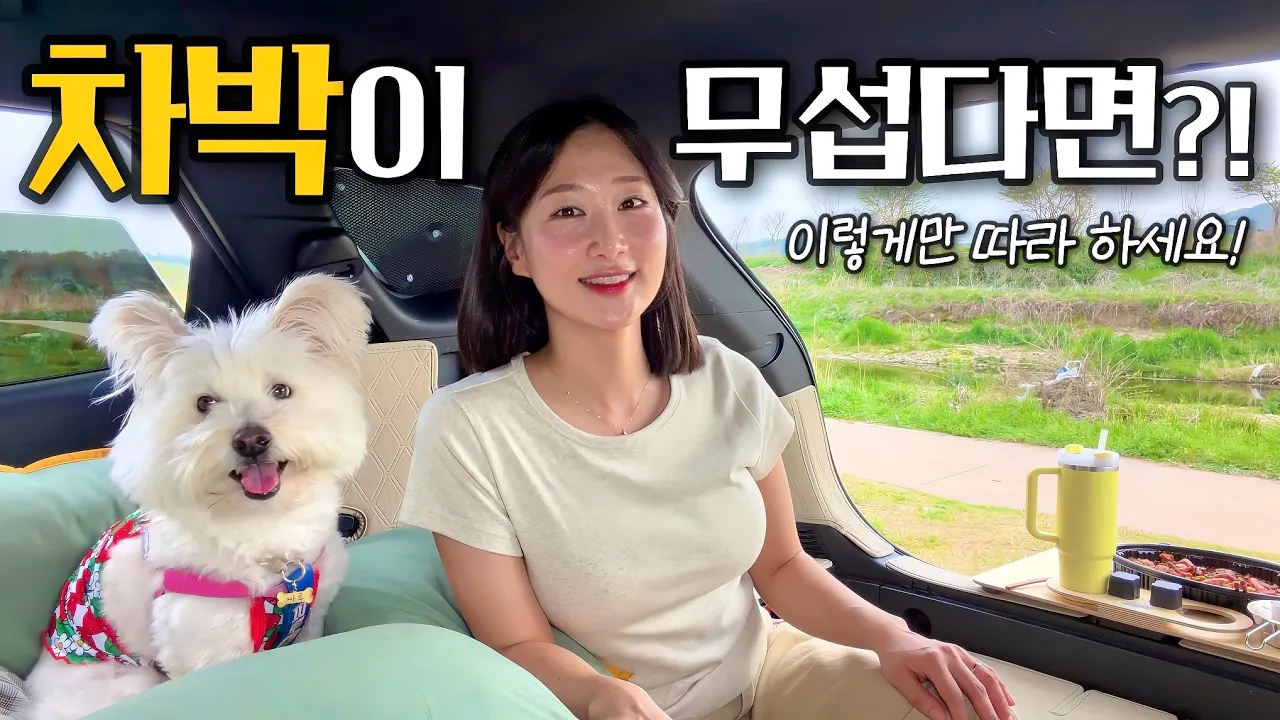 차박 초보 필독! 여자 혼자 무섭다면, '이것'부터 시작하세요! 스포티지 차박캠핑🚗 예산차박 / 화천대교 / 애견동반 차박 / 솔로 차박 / 예산 여행 / 예당호 출렁다리 썸네일