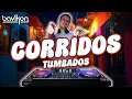 Lagu Corridos Tumbados Mix 2025 | Corridos Belicos Nuevos | Fuerza Regida, Peso Pluma, Tito Double P