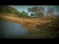 Download Lagu lake