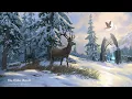Malabal Tor Full Map Completion 6 ESO Warden 4K 2024