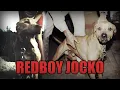 BLOODLINES - REDBOY JOCKO
