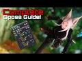 The Complete FFXIV G pose guide