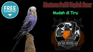 Download Masteran Parkit Ngekek Kasar MP3