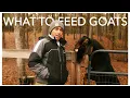 The Goat Feeding Guide
