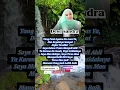 Download Lagu wanita inspirasi Dewi Sandra #shortsfeed #selebritisindonesia