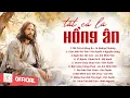 Download Lagu Album Liên Khúc Thánh Ca | Tất Cả Là Hồng Ân  | Những Bài Thánh Ca Cầu Nguyện Hay Nhất |