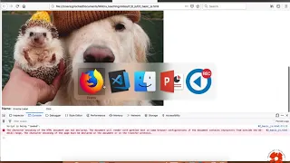 Web Programming I JavaScript part 6 Basics