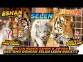 Download Lagu SELEN MENGENAL LEBIH DEKAT DENGAN ESHAN \u0026 JINORA ! HANYA DIBATASI 1 LAPIS BESI ! SELEN KETAKUTAN ?!