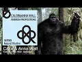 Calor & Anna Wall - Between