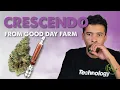 Crescendo Louisiana Medical Marijuana Review GDF