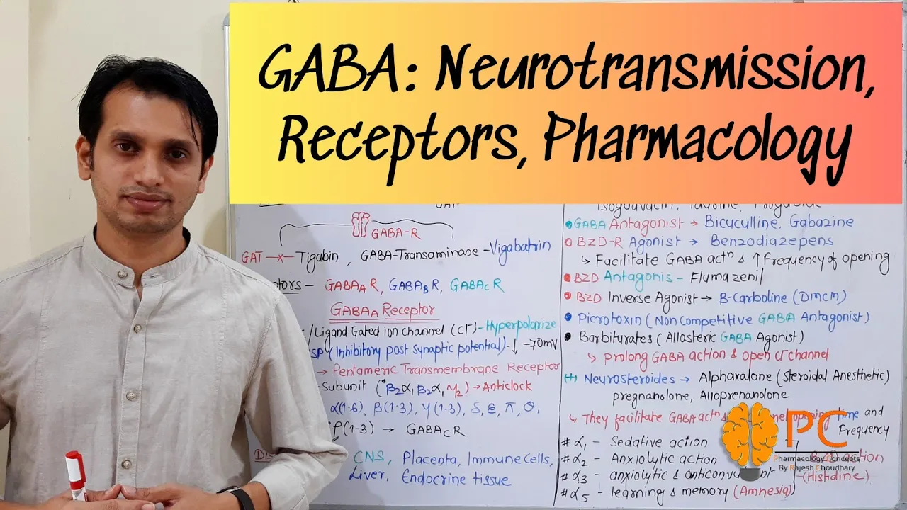 GABA Pharmacology: Neurotransmission, Receptors, and Pharmacology | GABA Receptor Pharmacology