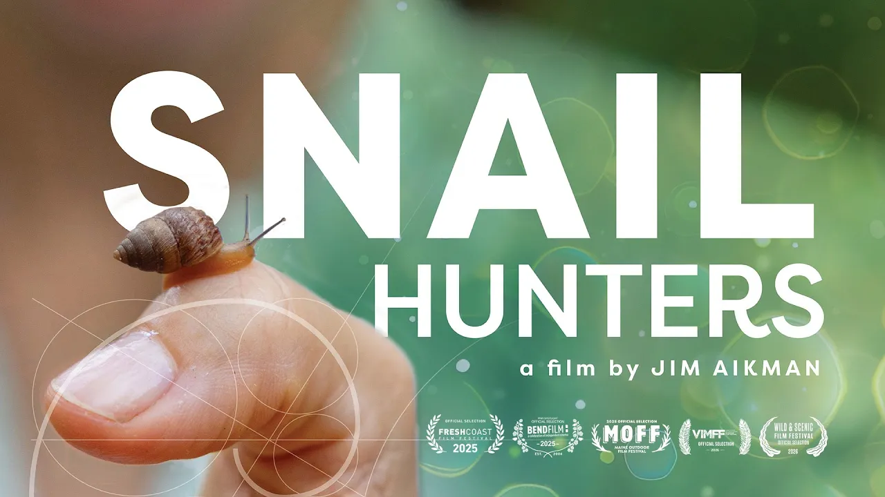 Snail Hunters - The Official Trailer
