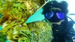 Day of Reckoning, Brilliant or Bonehead | S2Ep3