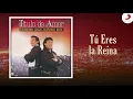 Diomedes Díaz, Juancho Rois, Diomedes Diaz & Roberto Torres - Tú Eres La Reina (Cover Audio)