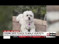 Tucson residents seek safe places to walk their pets