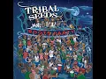 Roots Party - Tribal Seeds