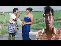 Download Lagu Killadi Mappillai Tamil Full Movie HD | Pandiarajan , Vadivelu | Sindhuja,Divyasri | Super Hit Movie
