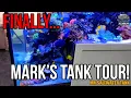 Lagu Mark's Own Tank - Enorm 12ft \