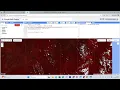 NDVI Creation using Google Earth Engine