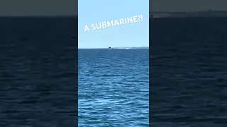 A SUBMARINE?! #sailinglife #submarine #sighting #sailing