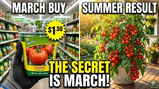 10 Things You SHOULD Be Buying at Dollar Tree in March 2026