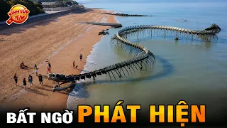 🔥 8 Phát Hiện Về Loài Rắn...Rắn Khổng Lồ Là Có Thật Không? | Kính Lúp TV