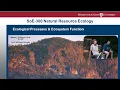 Ecological Processes Ecosystem Function