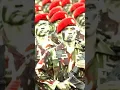 Download Lagu jedag jedug kopassus dj bale bale singkong #